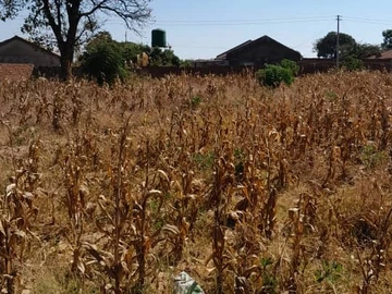 Residential Stand For Sale!!!