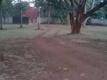 Great Suburb