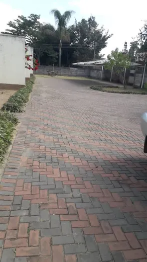 Neat Garden Flat